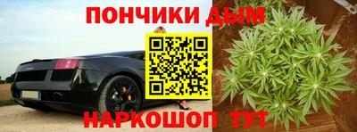 гашик Тулун