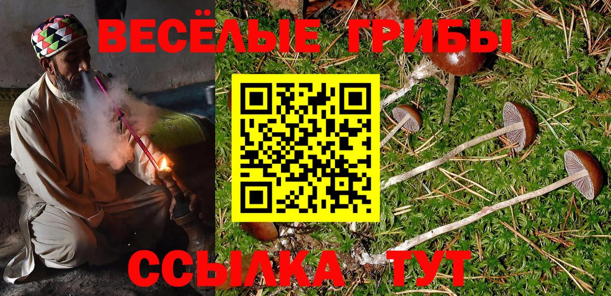 Назарово  Галлюциногенные грибы Cubensis  Вход с VPN 